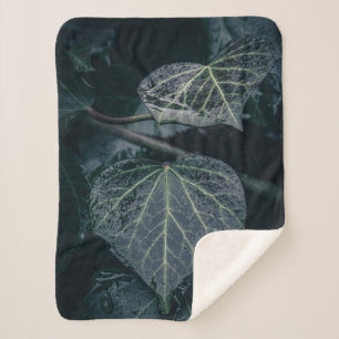 Dark Ivy Nature Photograph Sherpa Blanket