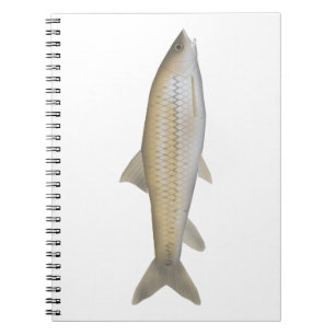 Dark Mahseer Notebook