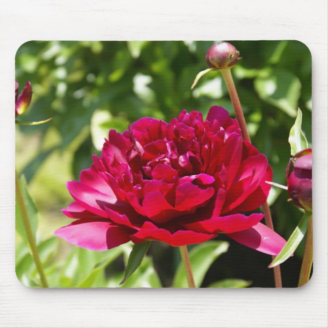 Dark Maroon velvet peonies Mouse Pad (Front)