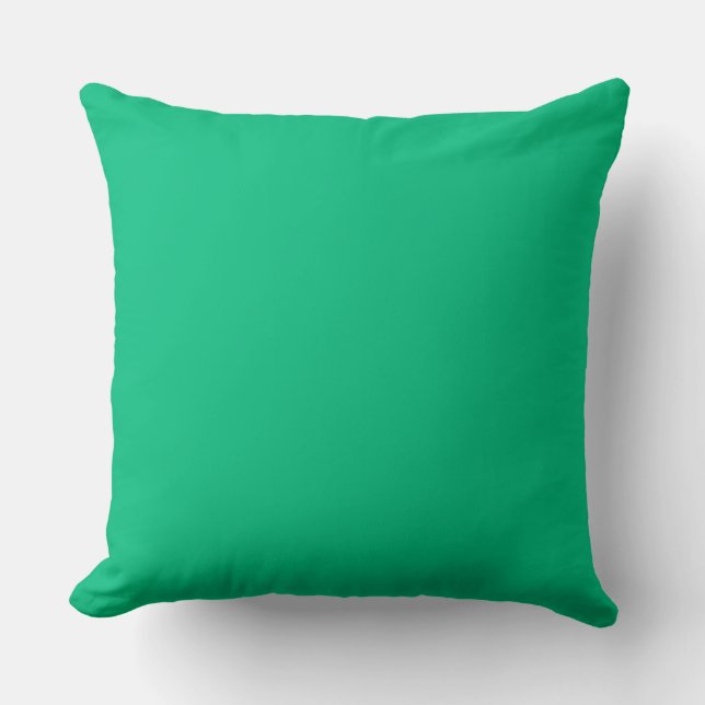 Dark mint cushion (Front)