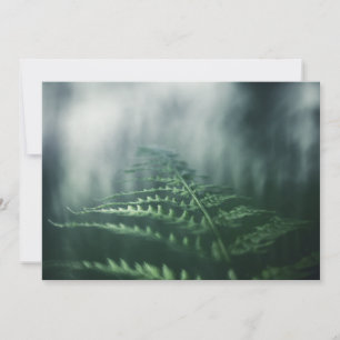 Dark Moody Fern nature photo card