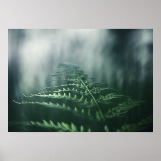 Dark Moody Fern nature photo Poster (Front)