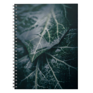 Dark Moody Ivy Leaves Nature Photo Notebook