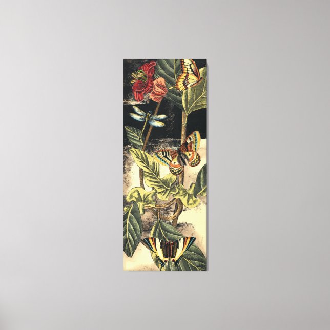 Dark Nature Scene by Vision Studio Canvas Print (Front)