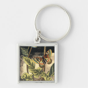Dark Nature Scene by Vision Studio Key Ring