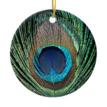 Dark Peacock Feather