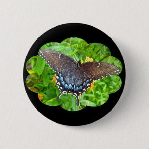 Dark Phase Tiger Swallowtail Butterfly Items 6 Cm Round Badge