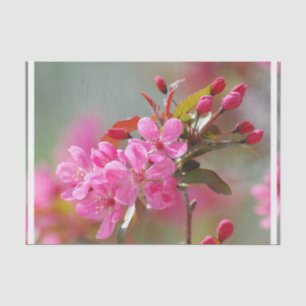 Dark Pink Cherry Blossoms Tissue Paper
