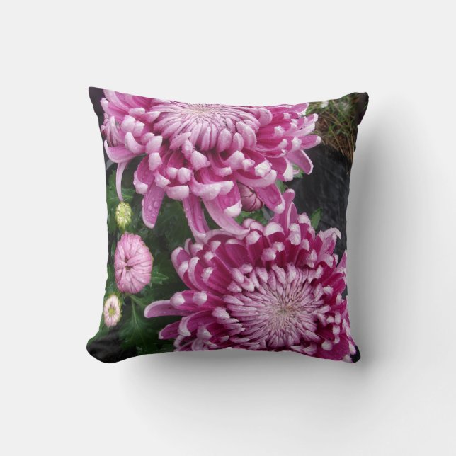 Dark Pink Chrysanthemum Flower floral Cushion (Front)