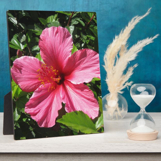 Dark Pink Hibiscus Plaque (Side)