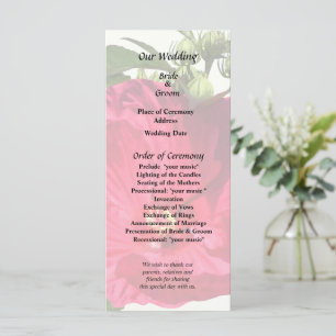 Dark Pink Hibiscus Programme