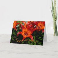 Dark-Pink Orange Lily