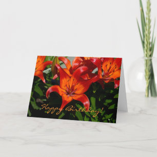 Dark-Pink Orange Lily Card