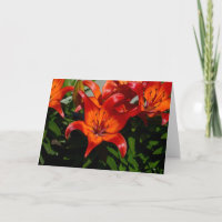 Dark-Pink Orange Lily