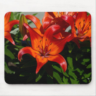 Dark-Pink Orange Lily Mouse Pad