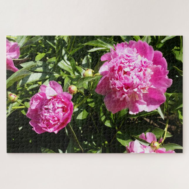 Dark pink peonies jigsaw puzzle (Horizontal)