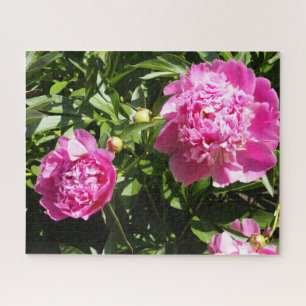 Dark pink peonies jigsaw puzzle