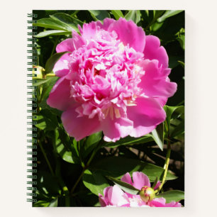 Dark pink peonies  notebook