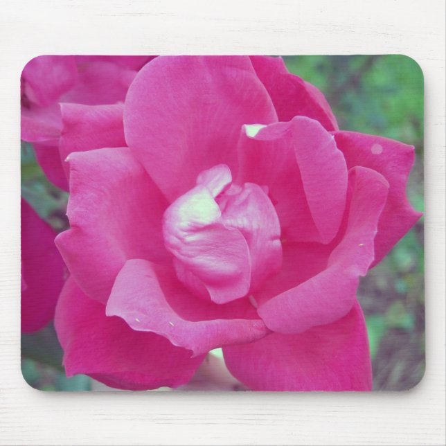 Dark Pink Rose Photo Mouse Pad (Front)