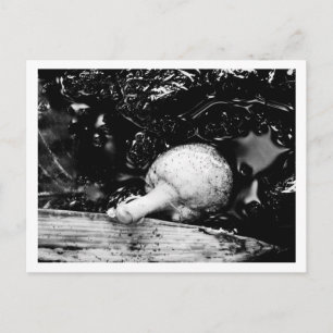 dark protector postcard