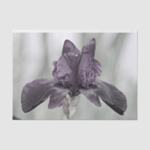 Dark Purple Iris Flower for decopodge Tissue Paper