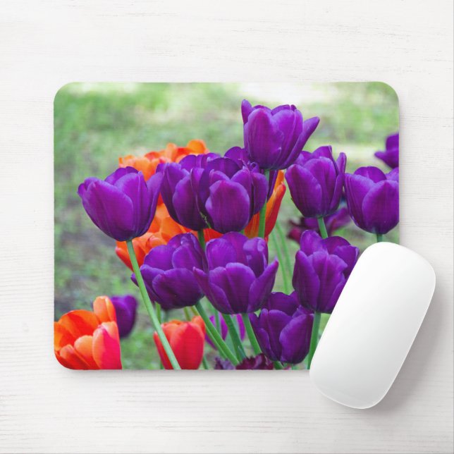 Dark purple tulips  on a sunny day in the garden   mouse pad (With Mouse)