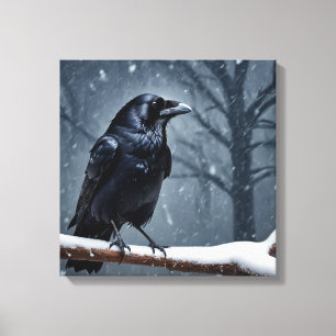 Dark Raven Black Bird Canvas Print