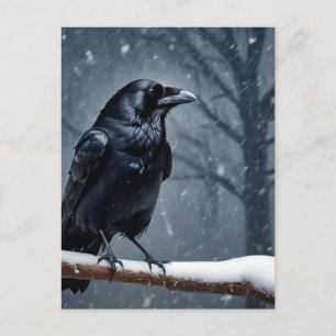 Dark Raven Black Bird Postcard