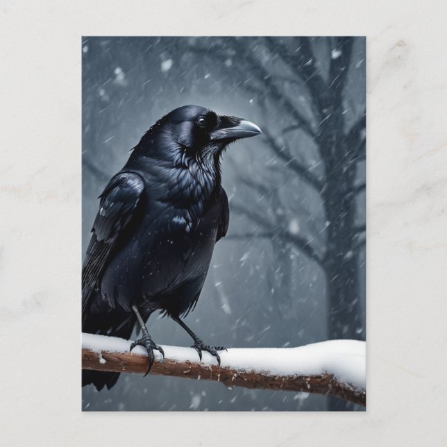 Dark Raven Black Bird Postcard (Front)