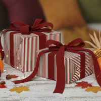 Dark Red and White Stripes Pattern