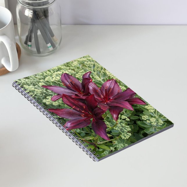 Dark Red Asiatic Lilies Floral Notebook (In Situ)