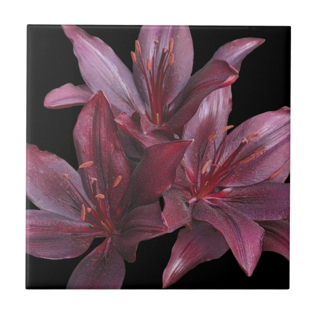 Dark Red Asiatic Lilies on Black Floral Tile (Front)