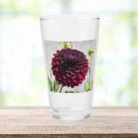 Dark Red Dahlia Bloom Floral Drinking