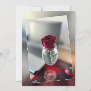 Dark red rose holiday card