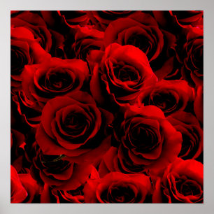 Dark Red Roses For you Poster