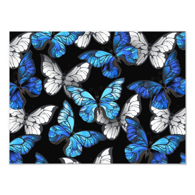 Dark Seamless Pattern with Blue Butterflies Morpho Photo Print (Front)
