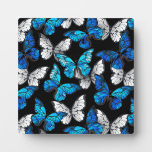 Dark Seamless Pattern with Blue Butterflies Morpho Plaque