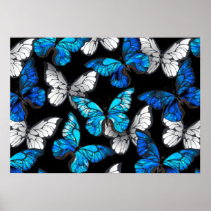 Dark Seamless Pattern with Blue Butterflies Morpho Poster