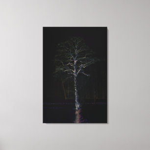 Dark Side 3 24x36 (60x90cm) waca Canvas Print