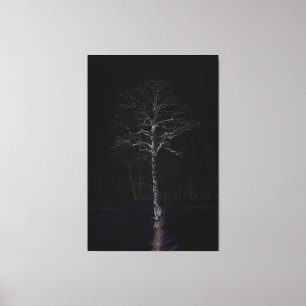 Dark Side 3 40x60 (100x150cm) waccnm Canvas Print