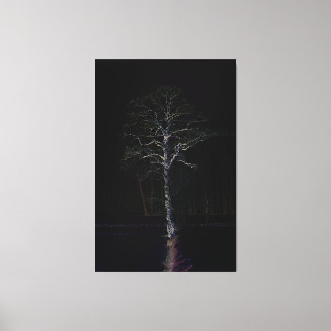 Dark Side 3 40x60 (100x150cm) waccnm Canvas Print (Front)