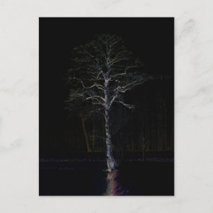 Dark Side 3 pccna Postcard