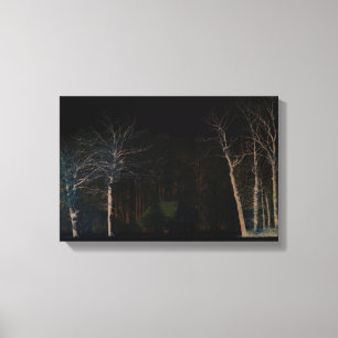 Dark Side 4 16.50x11 (41.25x27.5cm) wacm Canvas Print