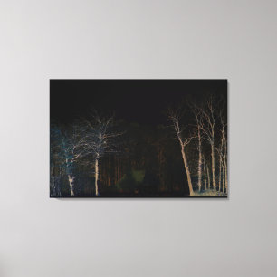 Dark Side 4 36x24 (90x60cm) waccnm Canvas Print