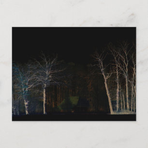 Dark Side 4 pccnm Postcard