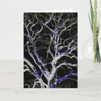 Dark Side 5 gccna Card