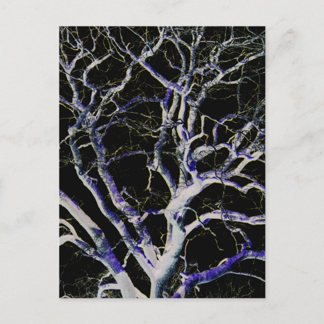 Dark Side 5 pccna Postcard (Front)