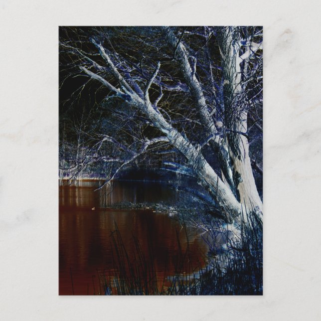 Dark Side 7 pccna Postcard (Front)