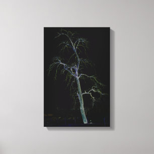 Dark Side 8 11x16.5 (27.5x41.25cm) waccnm Canvas Print
