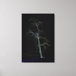 Dark Side 8 24x36 (60x90cm) waccnm Canvas Print